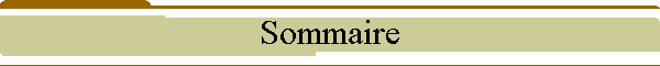 Sommaire
